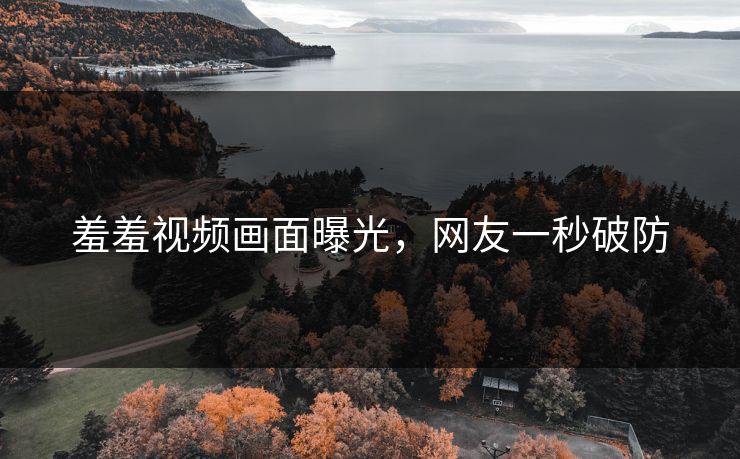 羞羞视频画面曝光，网友一秒破防