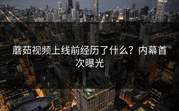 蘑茹视频上线前经历了什么？内幕首次曝光
