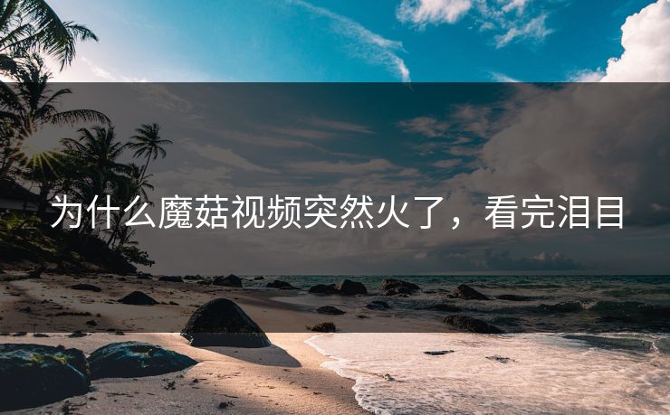 为什么魔菇视频突然火了，看完泪目