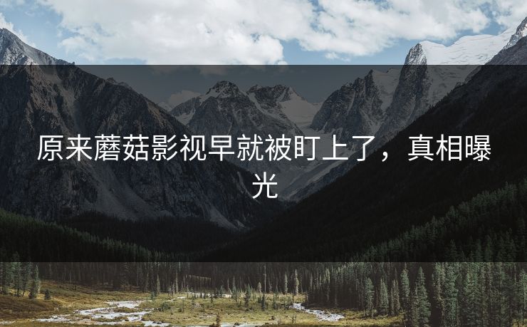 原来蘑菇影视早就被盯上了，真相曝光