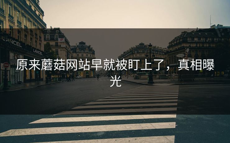 原来蘑菇网站早就被盯上了，真相曝光