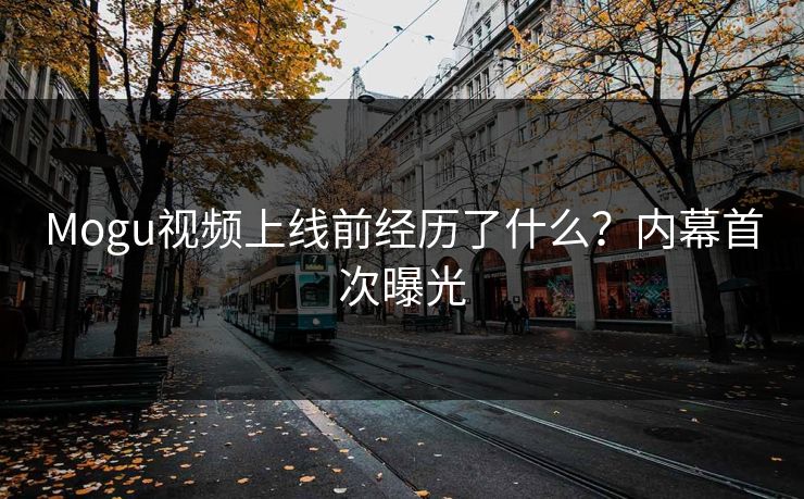 Mogu视频上线前经历了什么？内幕首次曝光
