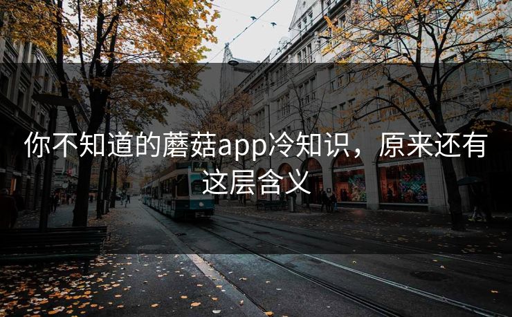 你不知道的蘑菇app冷知识，原来还有这层含义