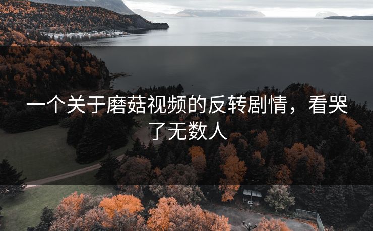 一个关于磨菇视频的反转剧情，看哭了无数人