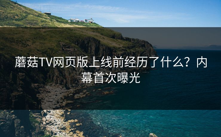 蘑菇TV网页版上线前经历了什么？内幕首次曝光