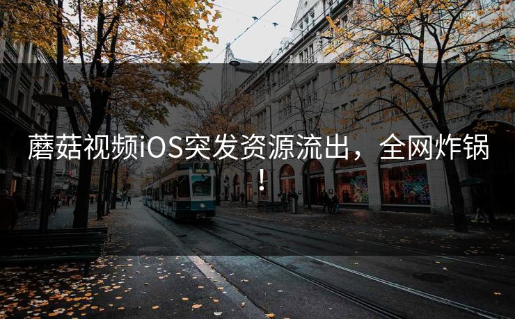 蘑菇视频iOS突发资源流出，全网炸锅！