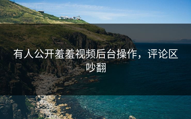 有人公开羞羞视频后台操作，评论区吵翻
