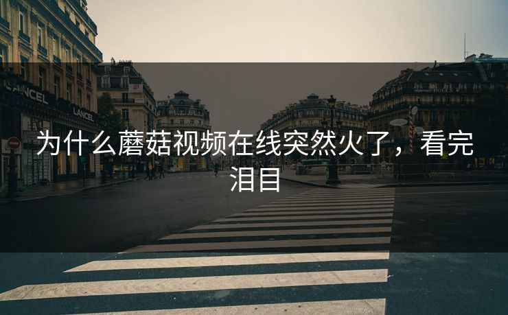 为什么蘑菇视频在线突然火了，看完泪目