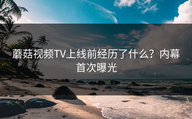 蘑菇视频TV上线前经历了什么？内幕首次曝光