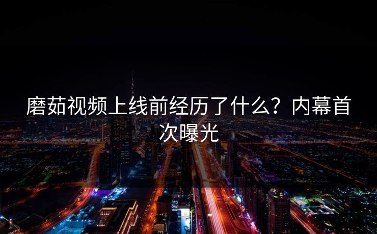 磨茹视频上线前经历了什么？内幕首次曝光