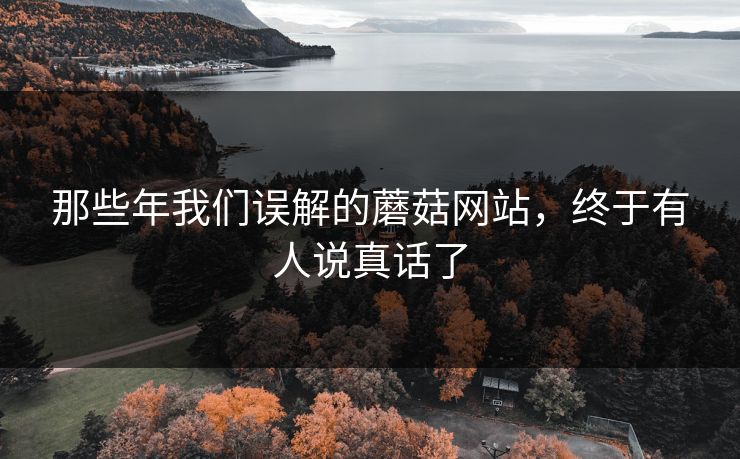 那些年我们误解的蘑菇网站，终于有人说真话了