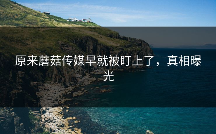 原来蘑菇传媒早就被盯上了，真相曝光