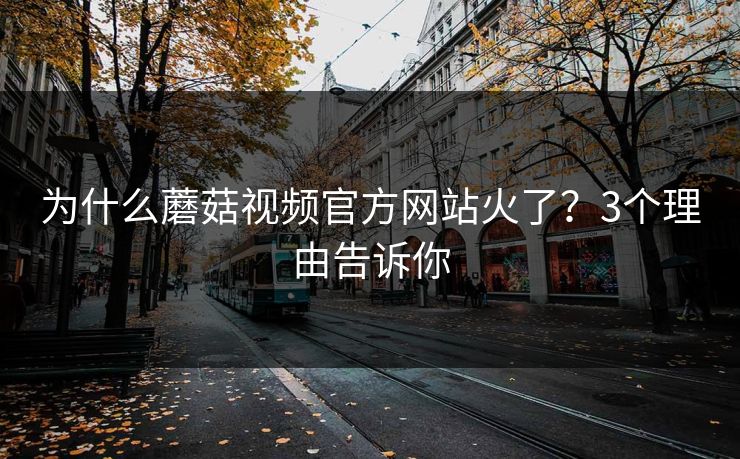 为什么蘑菇视频官方网站火了？3个理由告诉你