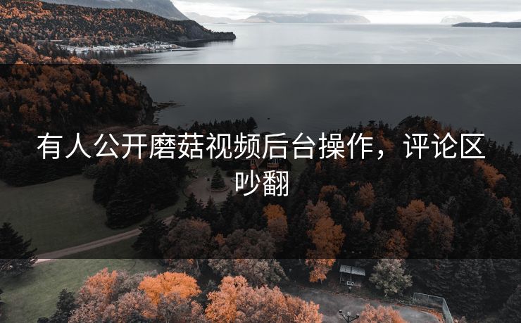 有人公开磨菇视频后台操作，评论区吵翻