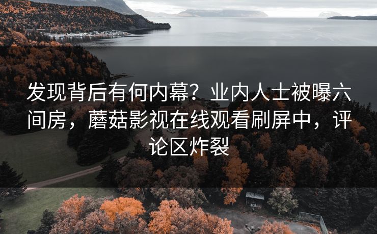 发现背后有何内幕？业内人士被曝六间房，蘑菇影视在线观看刷屏中，评论区炸裂