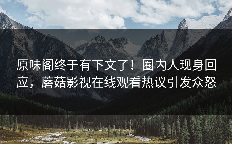 原味阁终于有下文了！圈内人现身回应，蘑菇影视在线观看热议引发众怒
