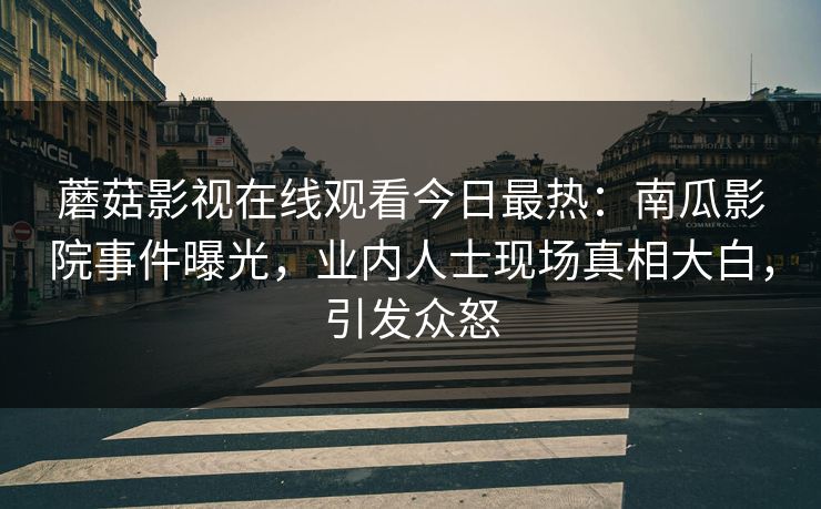 蘑菇影视在线观看今日最热：南瓜影院事件曝光，业内人士现场真相大白，引发众怒