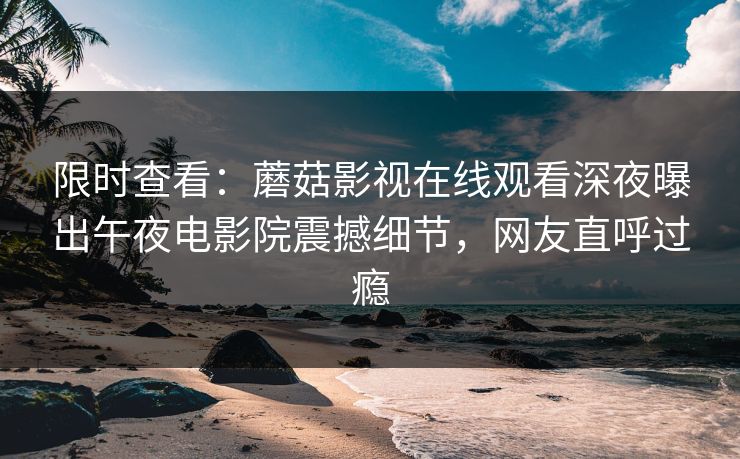 限时查看：蘑菇影视在线观看深夜曝出午夜电影院震撼细节，网友直呼过瘾