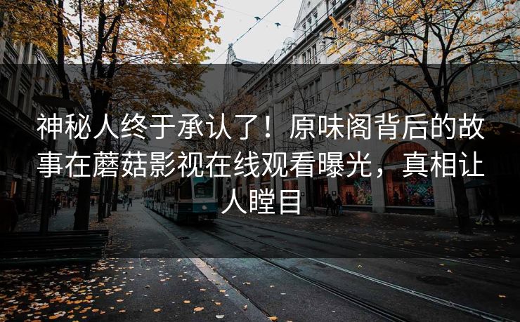 神秘人终于承认了！原味阁背后的故事在蘑菇影视在线观看曝光，真相让人瞠目