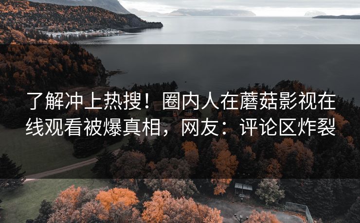 了解冲上热搜！圈内人在蘑菇影视在线观看被爆真相，网友：评论区炸裂