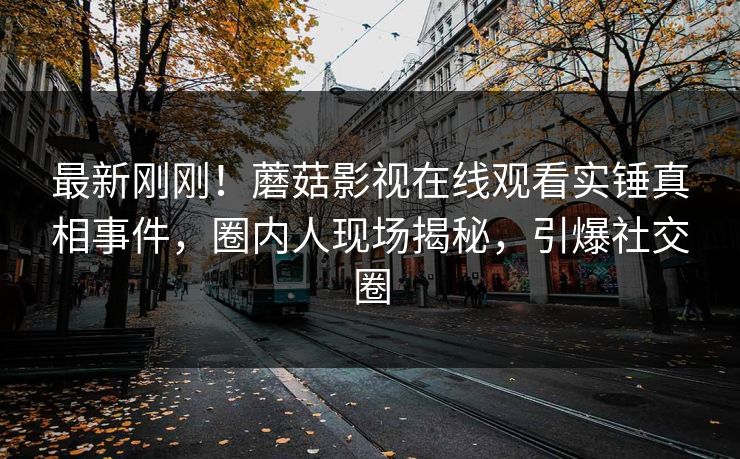 最新刚刚！蘑菇影视在线观看实锤真相事件，圈内人现场揭秘，引爆社交圈