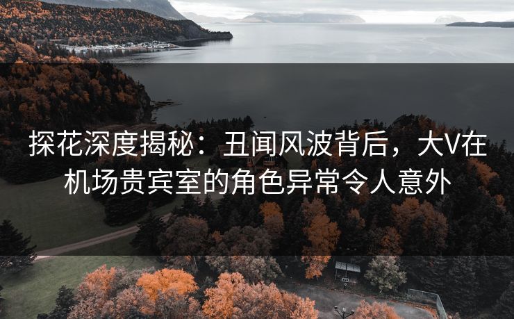 探花深度揭秘：丑闻风波背后，大V在机场贵宾室的角色异常令人意外