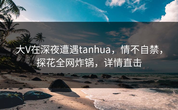 大V在深夜遭遇tanhua，情不自禁，探花全网炸锅，详情直击
