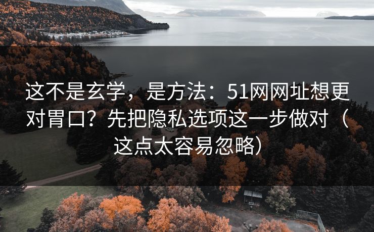 这不是玄学,是方法:51网网址想更对胃口?先把隐私选项这一步做对(这点太容易忽略) 这不是玄学,是方法:51网网址想更对胃口?先把隐私选项这一步做对(这点太容易忽略)